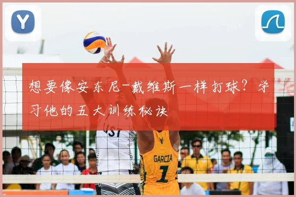 想要像安东尼-戴维斯一样打球？学习他的五大训练秘诀
