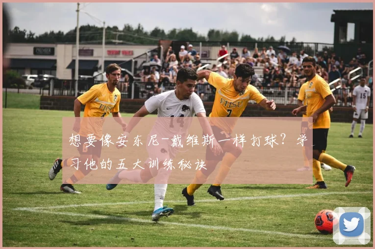 想要像安东尼-戴维斯一样打球?学习他的五大训练秘诀